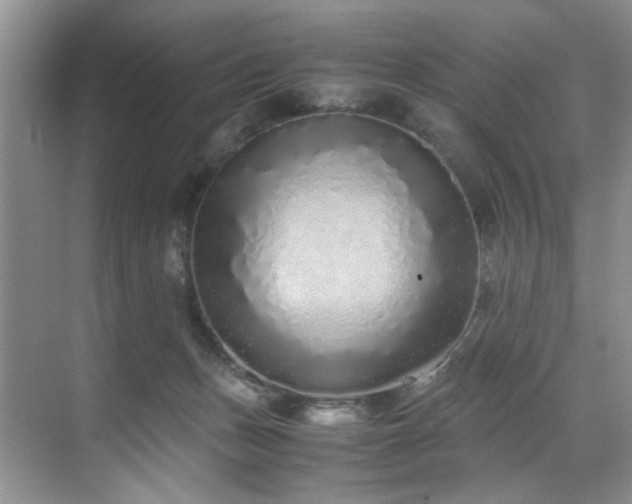 X0000071830175200606301328