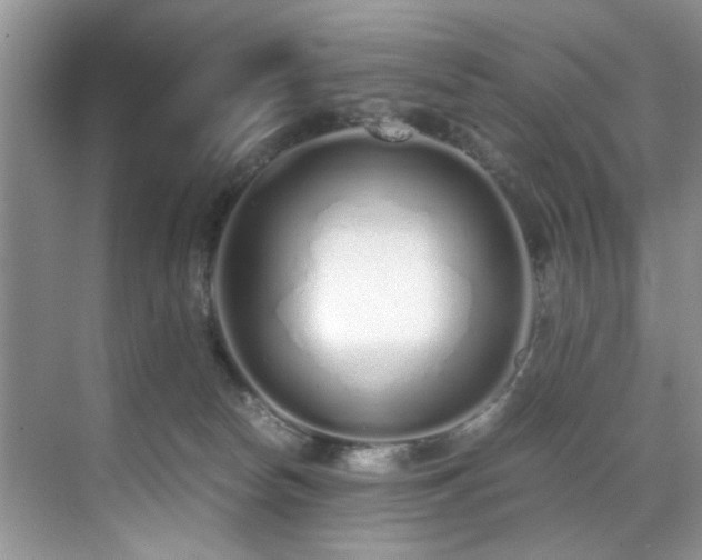 X0000071830178200606301328