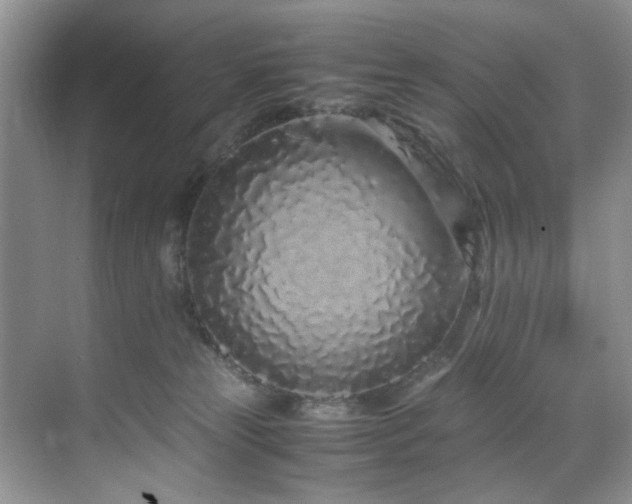 X0000071830181200606301328