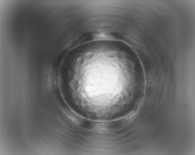 X0000071830182200606301328