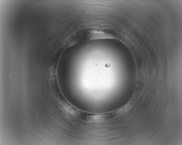 X0000071830184200606301328