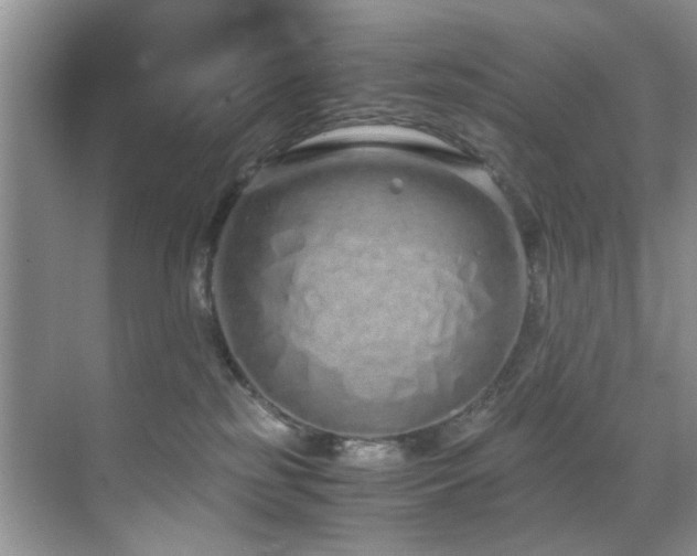 X0000071830185200606301328