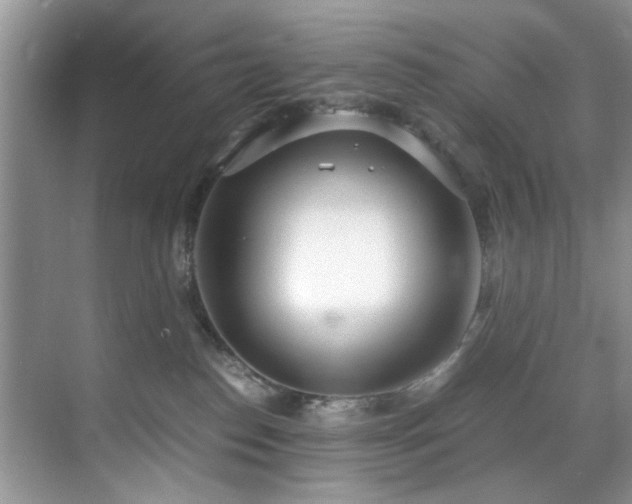 X0000071830186200606301328