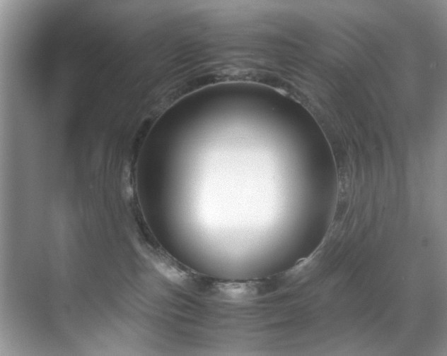 X0000071830187200606301328