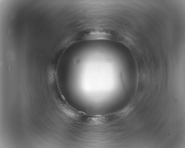 X0000071830188200606301328