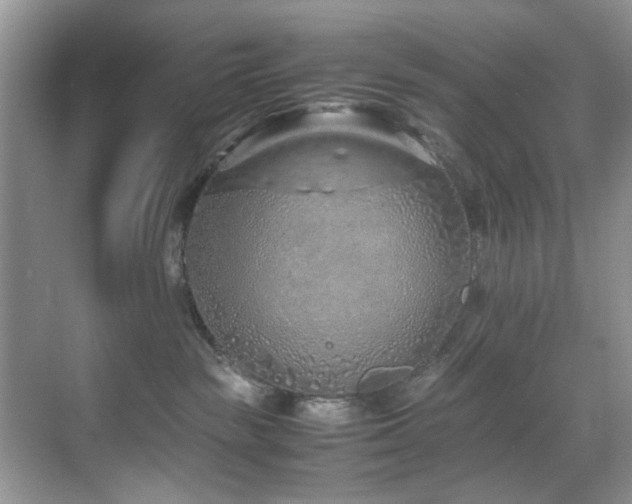 X0000071830189200606301328