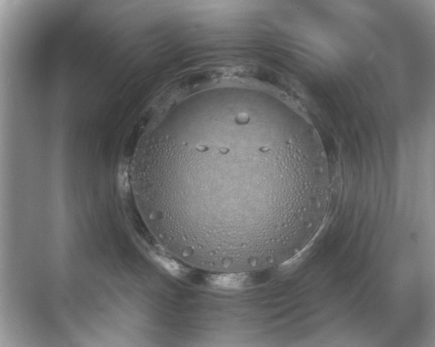 X0000071830191200606301328