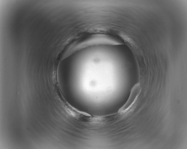 X0000071830192200606301328