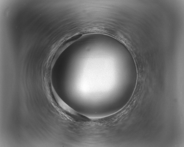 X0000071830193200606301327