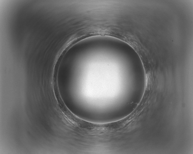 X0000071830195200606301327