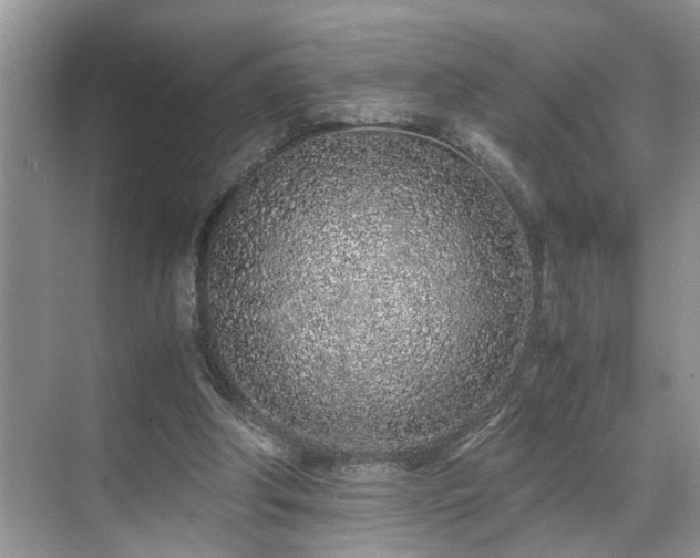 X0000071830202200606301327