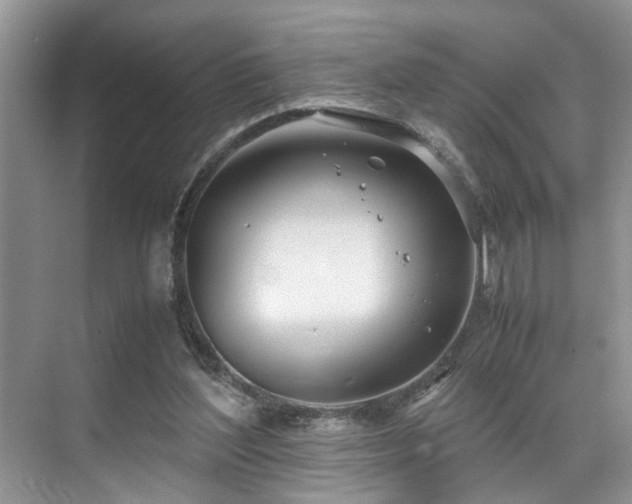 X0000071830204200606301327