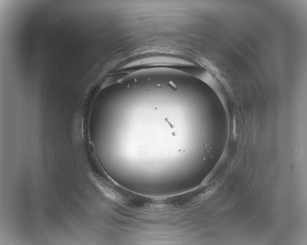 X0000071830205200606301327