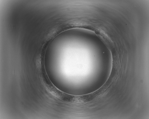 X0000071830207200606301327