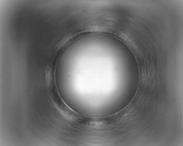 X0000071830208200606301327