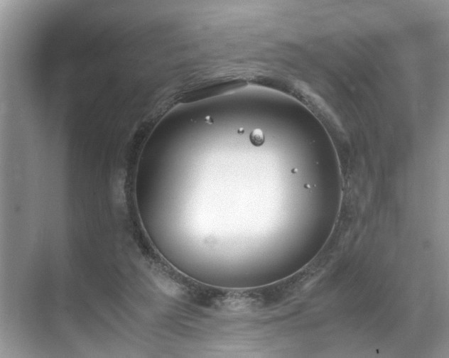 X0000071830209200606301327