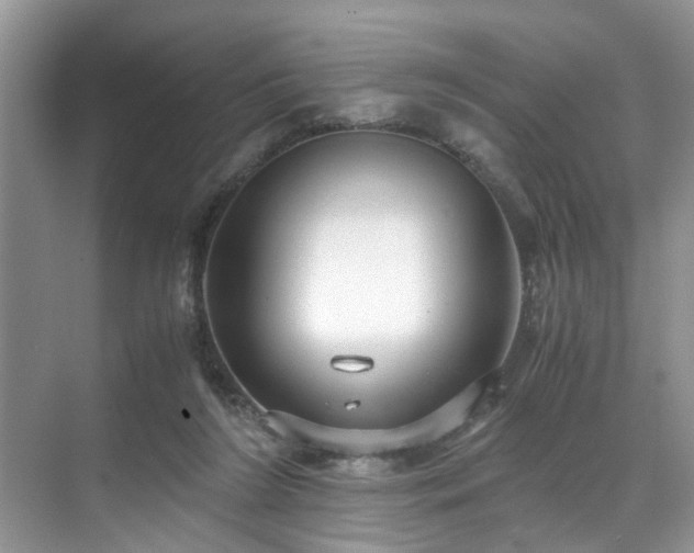 X0000071830212200606301327