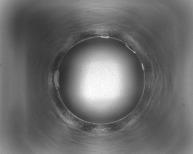 X0000071830213200606301327