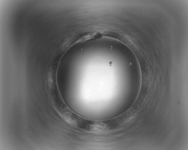 X0000071830215200606301327