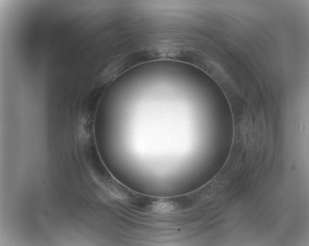 X0000071830218200606301327