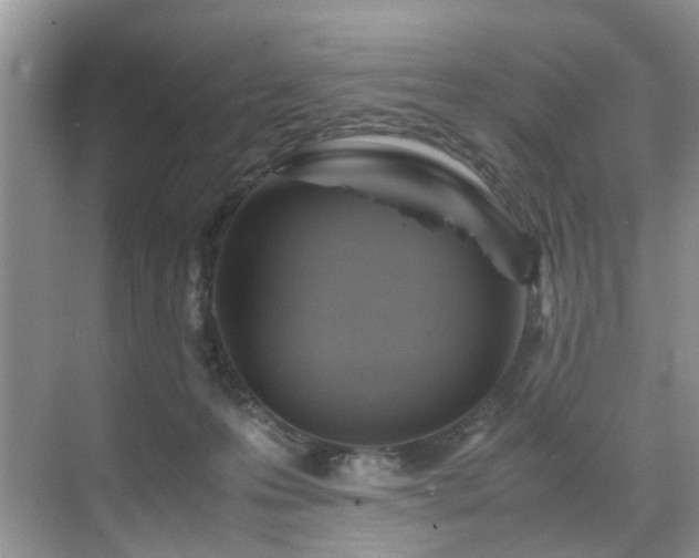 X0000071830223200606301327