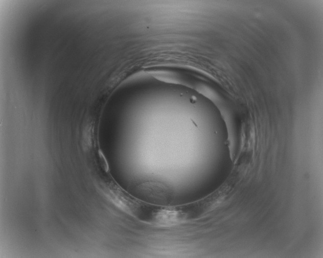 X0000071830227200606301327