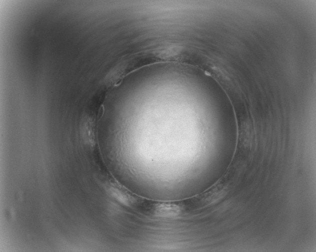 X0000071830234200606301327