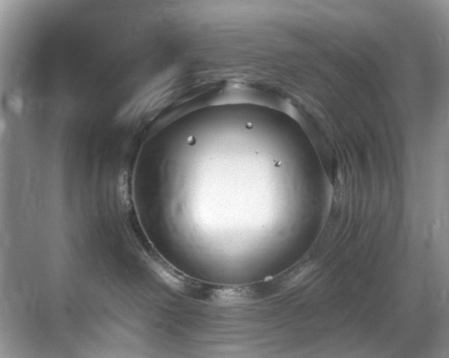 X0000071830238200606301327