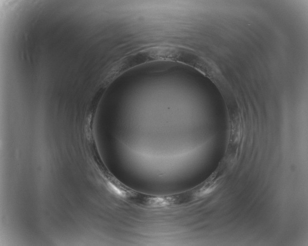 X0000071830239200606301327