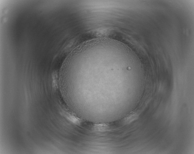 X0000071830240200606301327