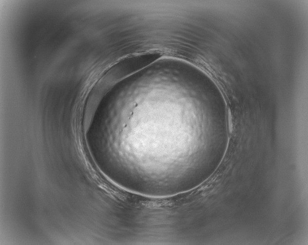 X0000071830241200606301326