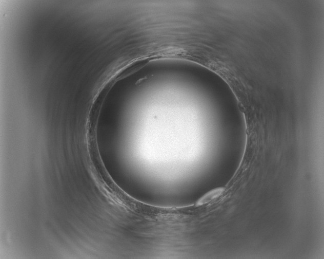 X0000071830242200606301326