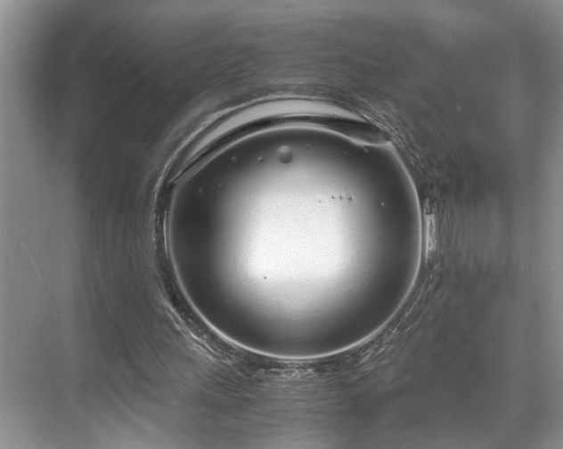 X0000071830243200606301326