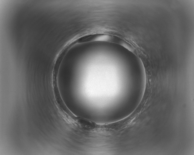 X0000071830244200606301326