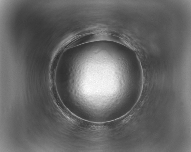 X0000071830245200606301326