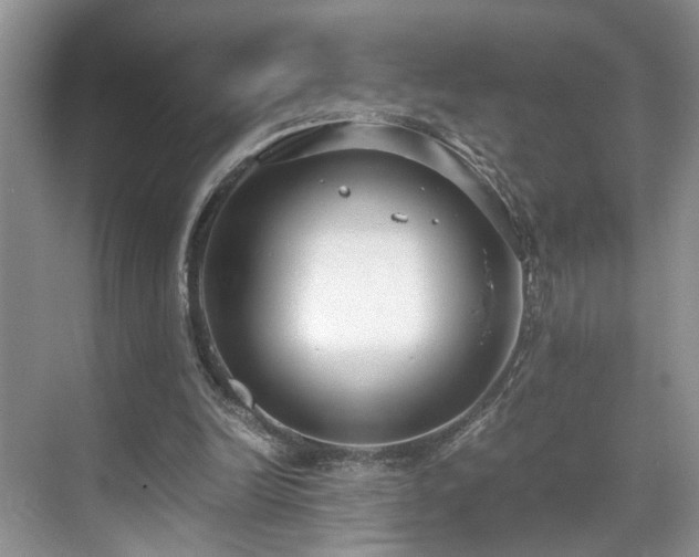 X0000071830246200606301326