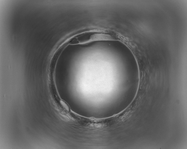 X0000071830247200606301326