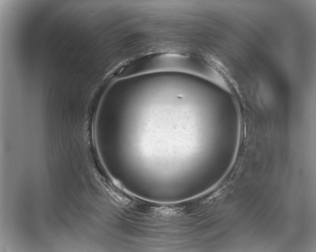 X0000071830249200606301326