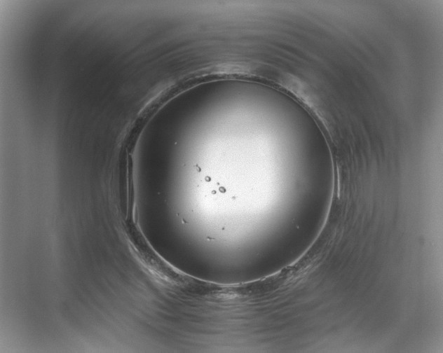 X0000071830253200606301326