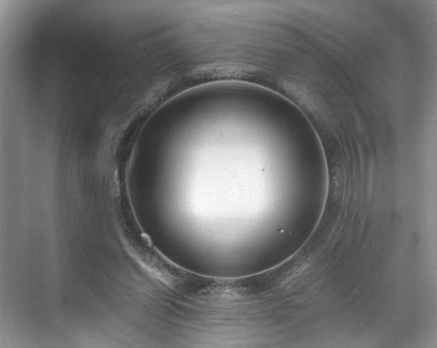 X0000071830254200606301326