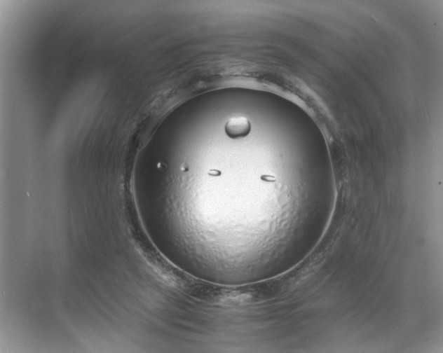 X0000071830257200606301326