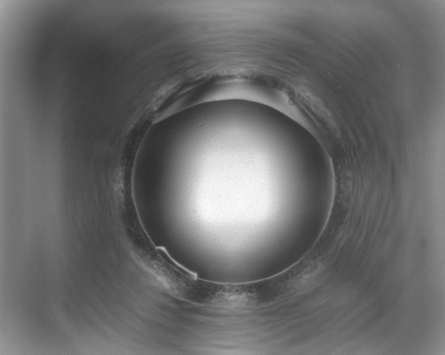 X0000071830260200606301326