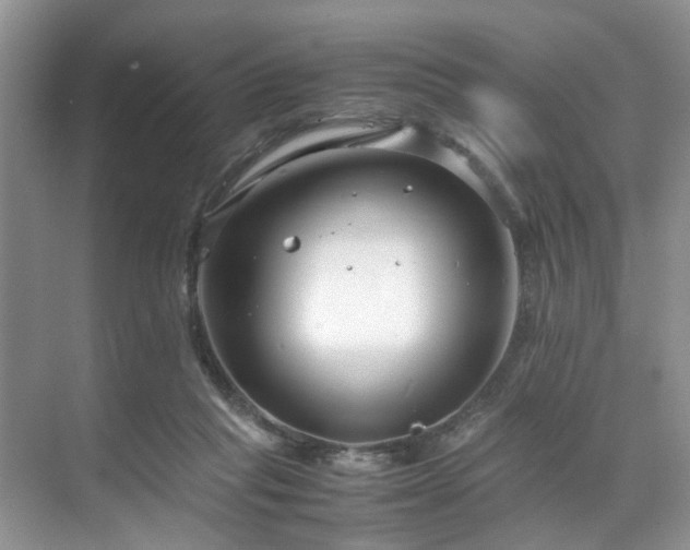 X0000071830261200606301326