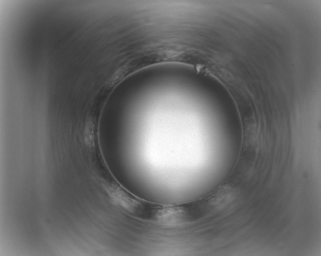 X0000071830274200606301326