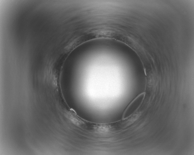 X0000071830282200606301327