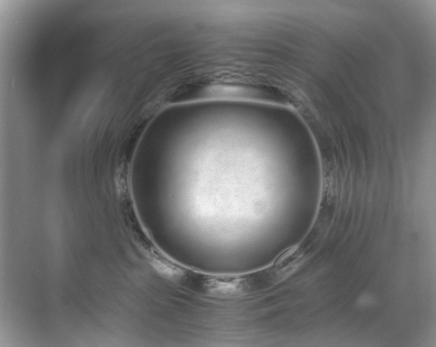 X0000071830285200606301327