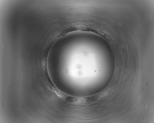 X0000071830288200606301327