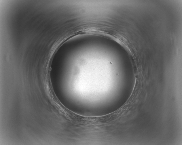 X0000071830289200606301326