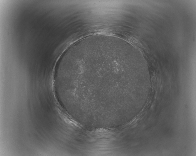 X0000071830290200606301326