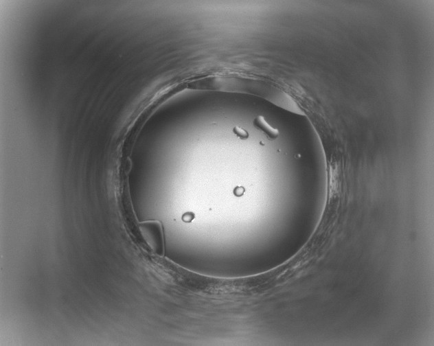 X0000071830291200606301326